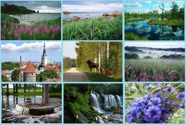 Родная, милая земля - моя Эстония