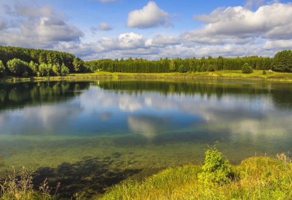 Народное голосование. ТОП-20 фотографий за 28.08.2019 г.