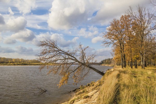 Народное голосование. ТОП-20 фотографий за 11.10.2019 г.