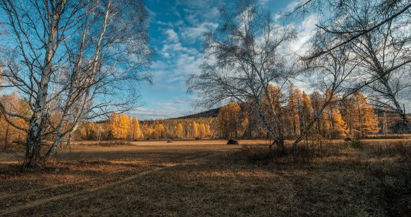 Народное голосование. ТОП-20 фотографий за 20.10.2019 г.