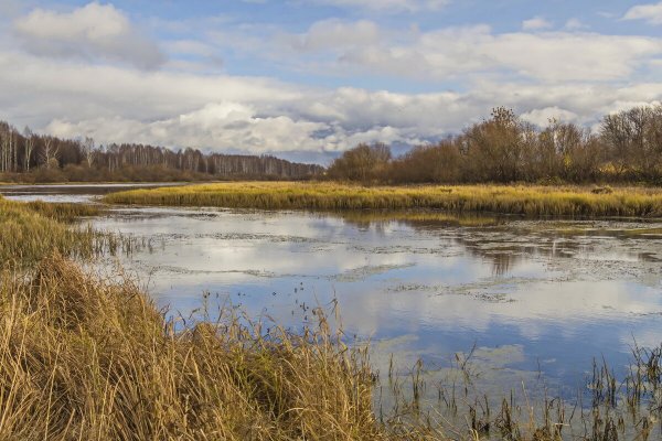 Народное голосование. ТОП-20 фотографий за 21.10.2019 г.