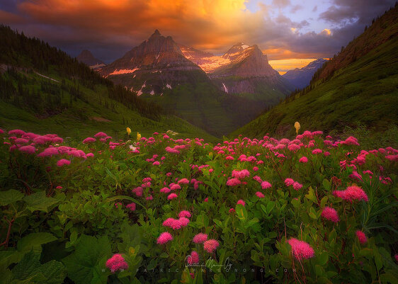 Фотограф Patrick Marson Ong