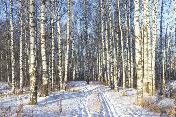 Народное голосование. ТОП-20 фотографий за 13.12.2020 г.