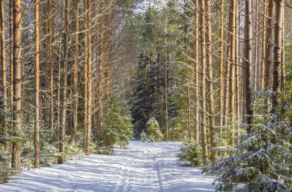 Народное голосование. ТОП-20 фотографий за 23.12.2020 г.