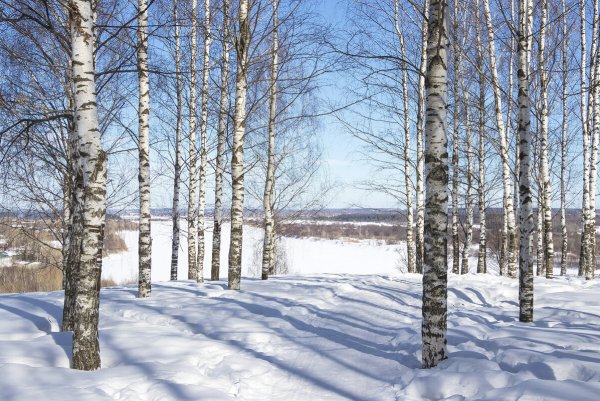 Народное голосование. ТОП-20 фотографий за 28.03.2021 г.