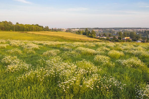 Народное голосование. ТОП-20 фотографий за 13.07.2021 г.