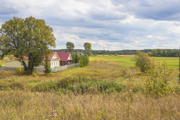 Народное голосование. ТОП-20 фотографий за 27.08.2021 г.