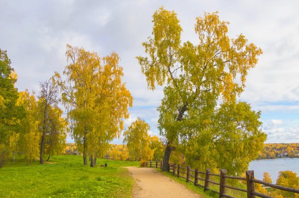 Народное голосование. ТОП-20 фотографий за 10.10.2021 г.