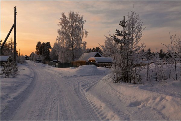 Народное голосование. ТОП-20 фотографий за 02.03.2022 г.