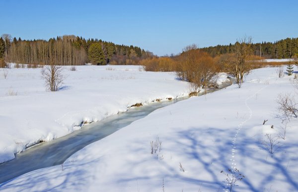 Народное голосование. ТОП-20 фотографий за 25.03.2022 г.