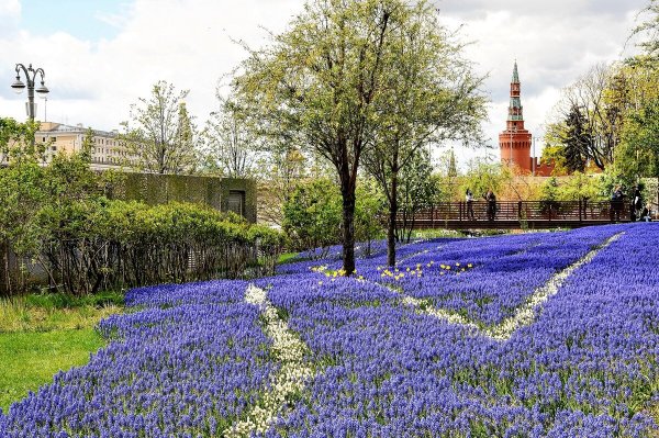 Народное голосование. ТОП-20 фотографий за 15.05.2022 г.