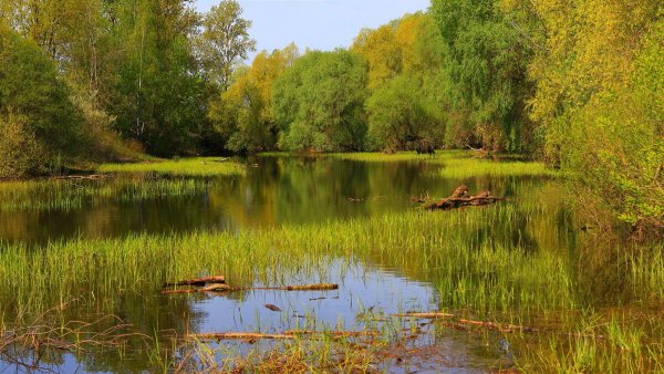 Народное голосование. ТОП-20 фотографий за 24.05.2022 г.