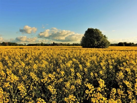 Народное голосование. ТОП-20 фотографий за 30.05.2022 г.