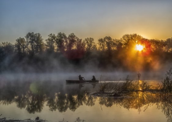 Народное голосование. ТОП-20 фотографий за 08.06.2022 г.