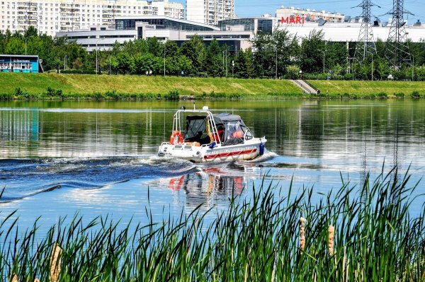 Народное голосование. ТОП-20 фотографий за 09.06.2022 г.