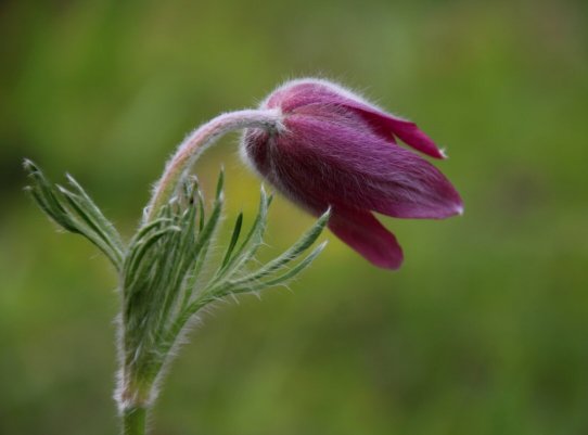 Народное голосование. ТОП-20 фотографий за 03.07.2022 г.