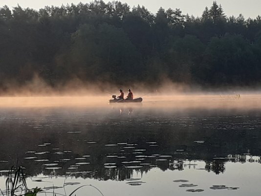 Народное голосование. ТОП-20 фотографий за 07.07.2022 г.