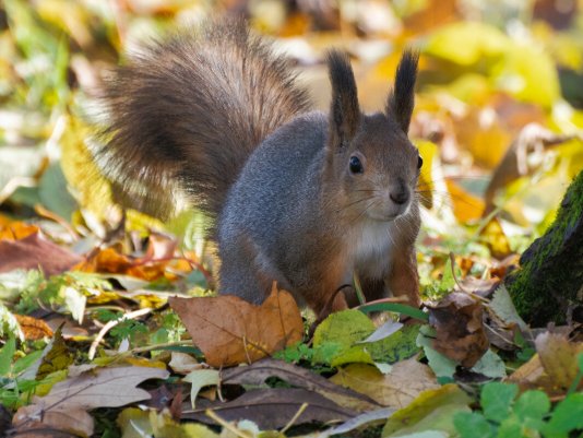 Народное голосование. ТОП-20 фотографий за 01.10.2022 г.