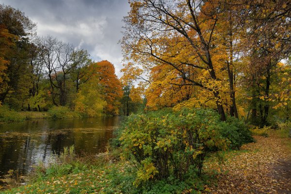 Народное голосование. ТОП-20 фотографий за 09.10.2022 г.