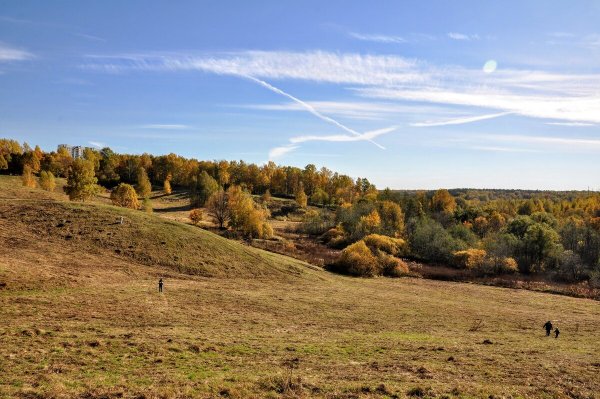 Народное голосование. ТОП-20 фотографий за 10.10.2022 г.