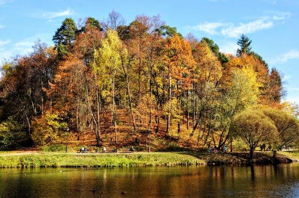 Народное голосование. ТОП-20 фотографий за 18.10.2022 г.