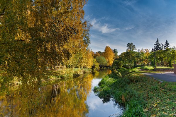 Народное голосование. ТОП-20 фотографий за 29.10.2022 г.