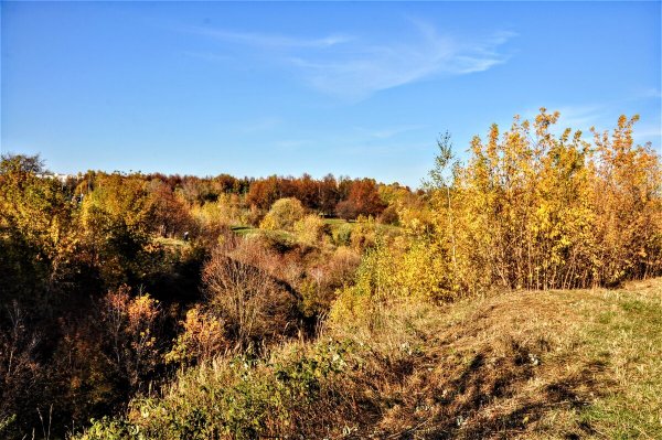 Народное голосование. ТОП-20 фотографий за 30.10.2022 г.