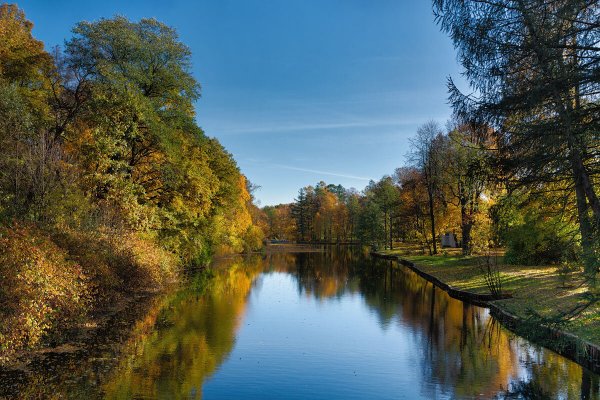 Народное голосование. ТОП-20 фотографий за 02.11.2022 г.