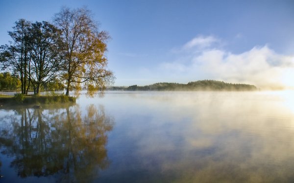 Народное голосование. ТОП-20 фотографий за 12.11.2022 г.