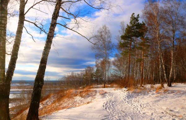 Народное голосование. ТОП-20 фотографий за 17.11.2022 г.