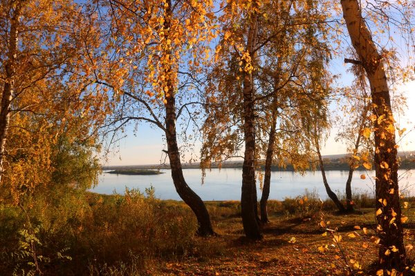 Народное голосование. ТОП-20 фотографий за 22.11.2022 г.