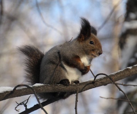 Народное голосование. ТОП-20 фотографий за 24.11.2022 г.