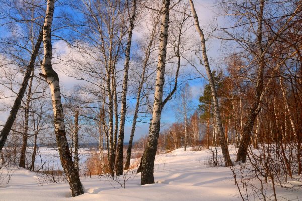 Народное голосование. ТОП-20 фотографий за 30.11.2022 г.