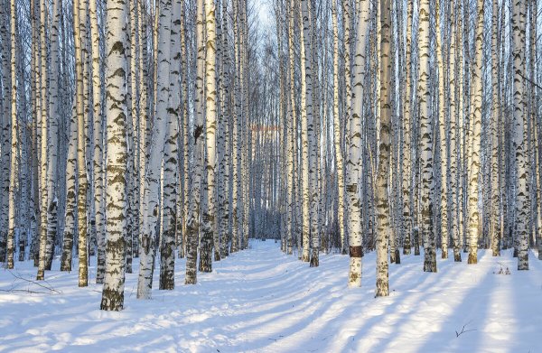 Народное голосование. ТОП-20 фотографий за 07.12.2022 г.