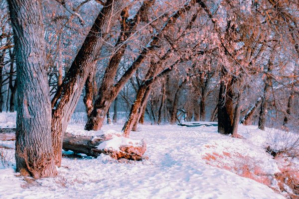 Народное голосование. ТОП-20 фотографий за 23.12.2022 г.