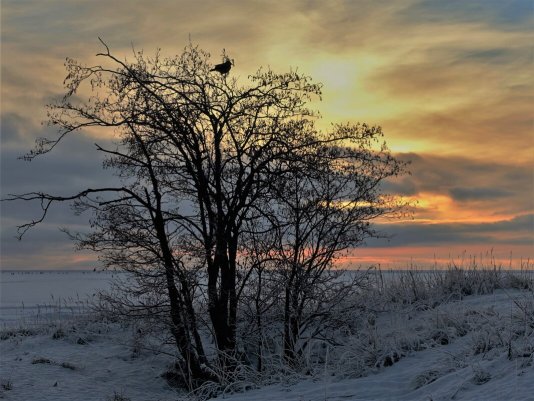 Народное голосование. ТОП-20 фотографий за 27.12.2022 г.