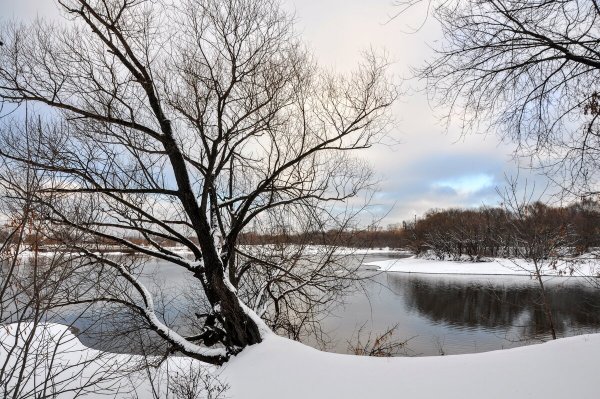 Народное голосование. ТОП-20 фотографий за 30.12.2022 г.