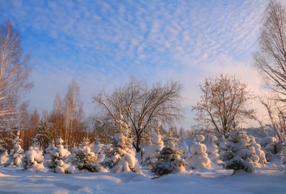 Народное голосование. ТОП-20 фотографий за 02.01.2023 г.