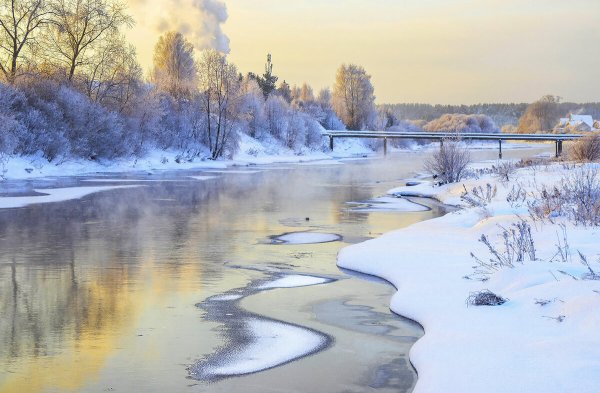 Народное голосование. ТОП-20 фотографий за 08.01.2023 г.