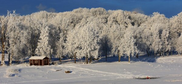 Народное голосование. ТОП-20 фотографий за 10.01.2023 г.