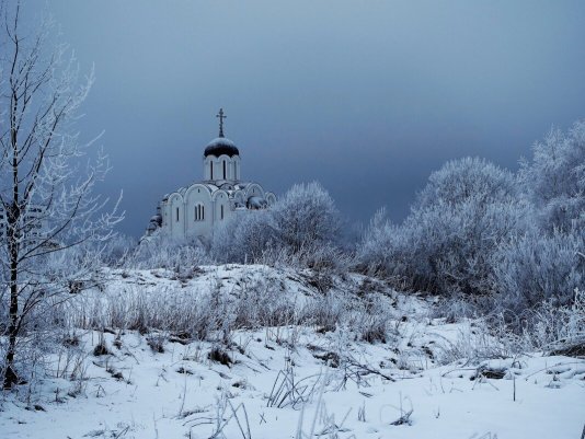 Народное голосование. ТОП-20 фотографий за 23.01.2023 г.