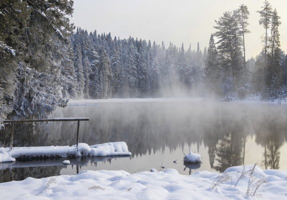 Народное голосование. ТОП-20 фотографий за 24.01.2023 г.