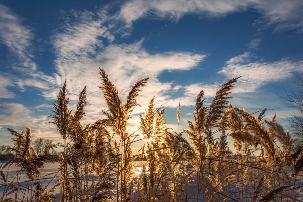 Народное голосование. ТОП-20 фотографий за 29.01.2023 г.