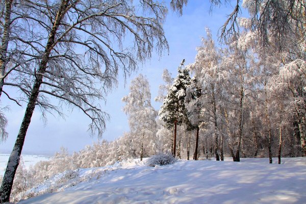 Народное голосование. ТОП-20 фотографий за 05.02.2023 г.