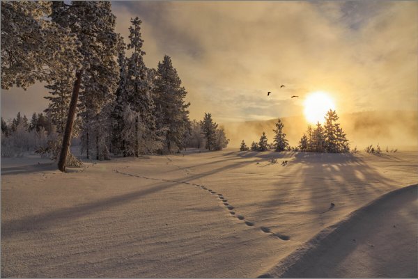 Народное голосование. ТОП-20 фотографий за 08.02.2023 г.