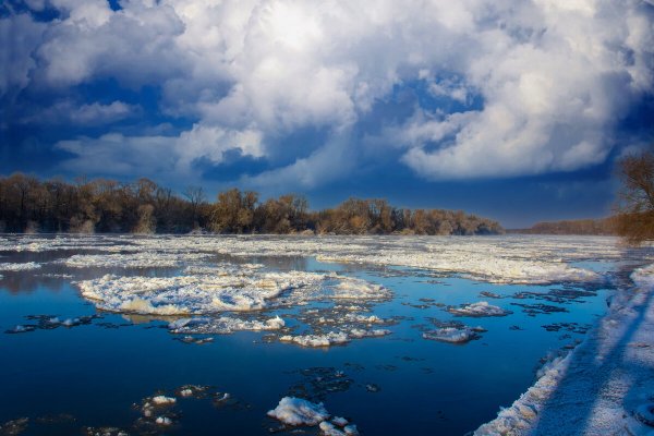 Народное голосование. ТОП-20 фотографий за 11.02.2023 г.