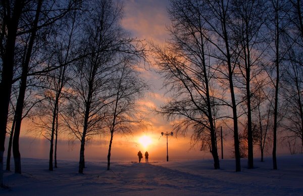 Народное голосование. ТОП-20 фотографий за 26.02.2023 г.