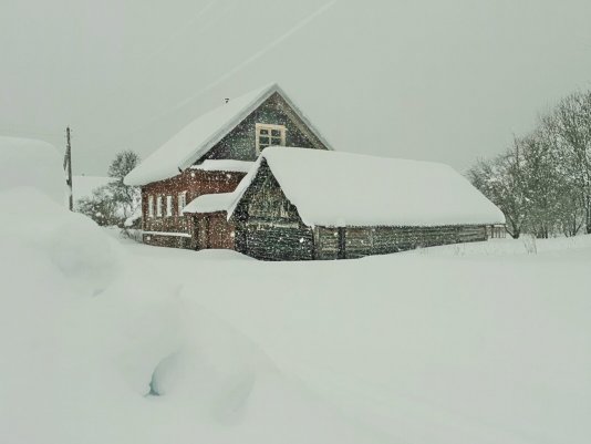 Народное голосование. ТОП-20 фотографий за 17.03.2023 г.