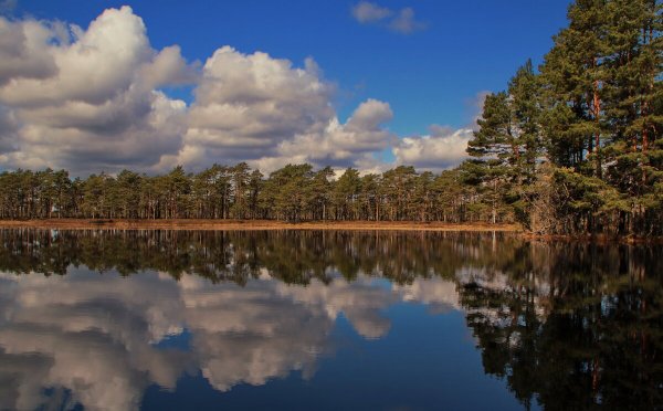 Народное голосование. ТОП-20 фотографий за 01.04.2023 г.