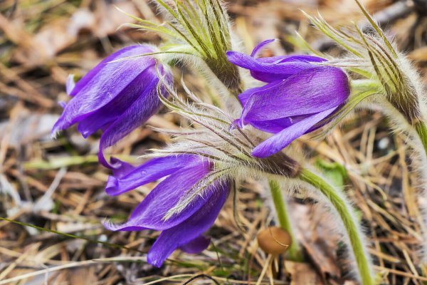 Народное голосование. ТОП-20 фотографий за 06.04.2023 г.